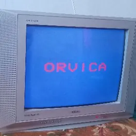 Orvica telewizor