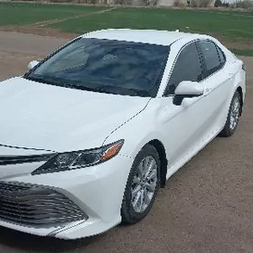 Toyota Camry 2020