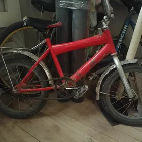 velsapet 2sanisi bar