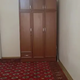 Swaboda komnat arenda