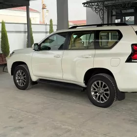 original 2022 diska teker