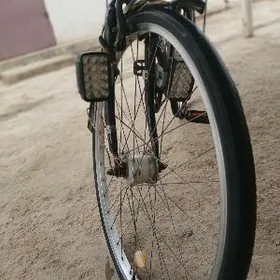 Welsoped yaponsky 6skor