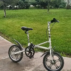 TIGIR YAPOSKA 16 LIK YAPON