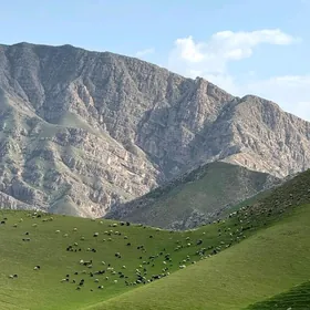 Bereketli zamana Gäw