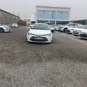 Toyota Corolla 2024