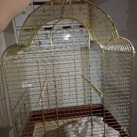 клетка для птиц