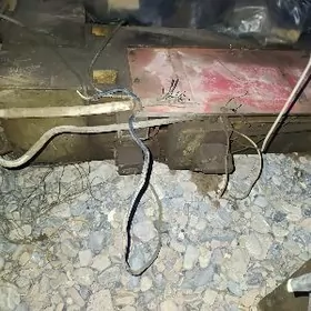 tokar gilze gyryan stanok