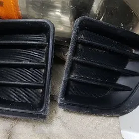 korolla tumannik ocki