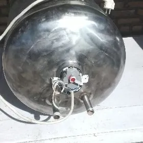 Аристон, Ariston. Аргинал