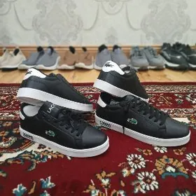 Taze Lacosta krasowkalar