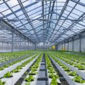 Teplissa Yyladsyhana 3gektar