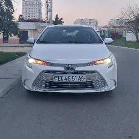Toyota Corolla 2025
