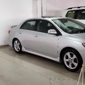 Korolla diska teker ekskulziw