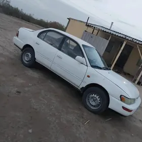 Toyota Corolla 1996
