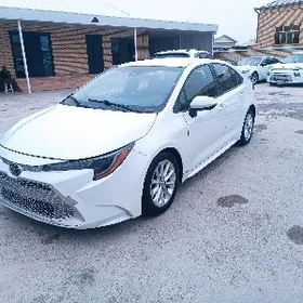 Toyota Corolla 2020