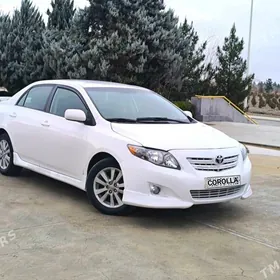 Toyota Corolla 2010