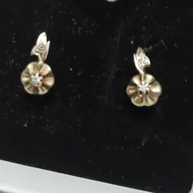 gyzyl komplekt,золота.