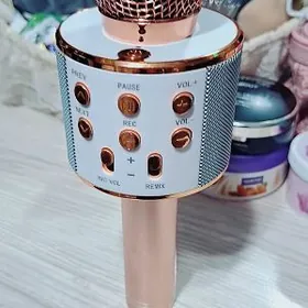 Колонка микрафон