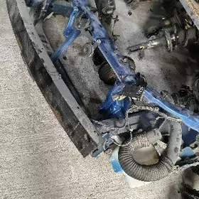 noskat kelte morda toyota