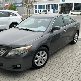 Toyota Camry 2010