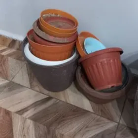 gülüñ garşoklary