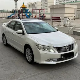 Toyota Aurion 2013