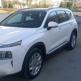 HUNDAY SANTAFE 2020,2023 yyl