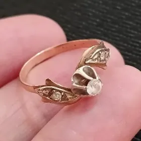 gyzyl gadymy orsynky