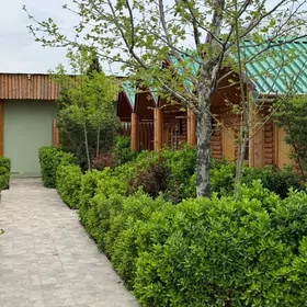 arenda kafe tayyar biznes