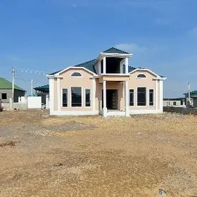 Anew  Magtymguly 12 sotok