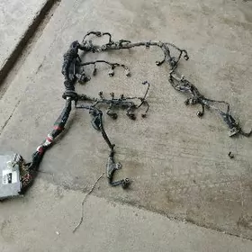 2002sienna kampyuter prawoda