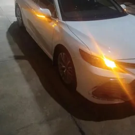 Toyota Camry 2023