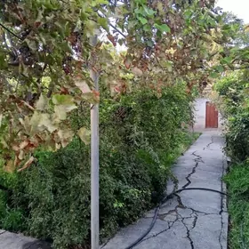 гокдепе сатлык пулан жай