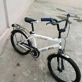 20 lik braweri velik