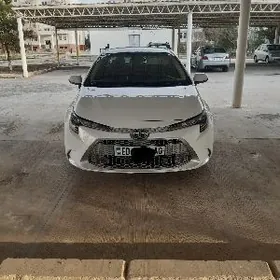 Toyota Corolla 2021