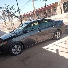 Toyota Corolla 2010