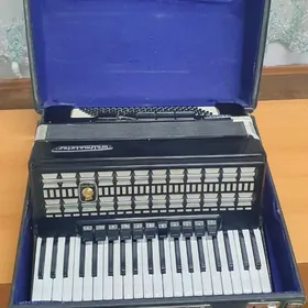 akkordeon