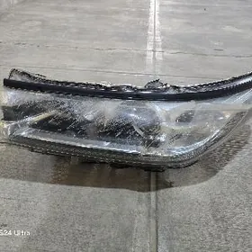 HIGHLANDER FARA 2018