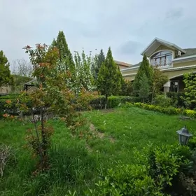 Bagyr Mirewe 16 sotok