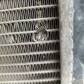 3 duty camry radiŷator