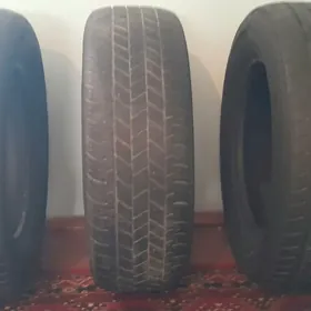 pakriska teker 205.65.15