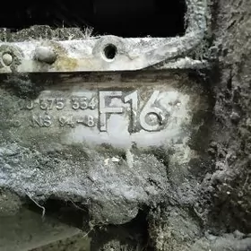 каропка нексия