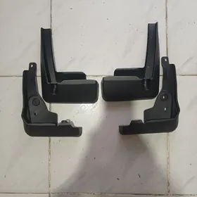 Karolla brazgawik 19 22 aralyk