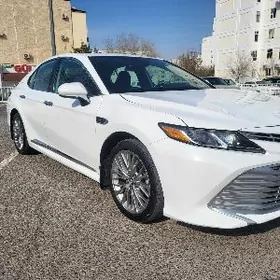 Toyota Camry 2020