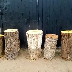 çapgy kalotka tut maklura