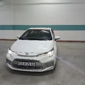 Toyota Corolla 2022