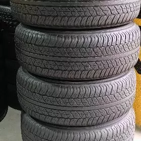 Prado Disga Teker 17 lik