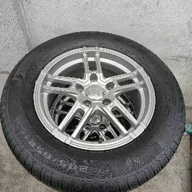 15 Hunday disga pakrysga