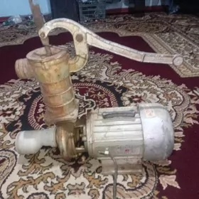 Kacalka Nasis  Generatyr