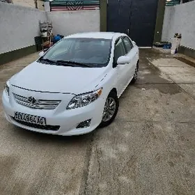Toyota Corolla 2010